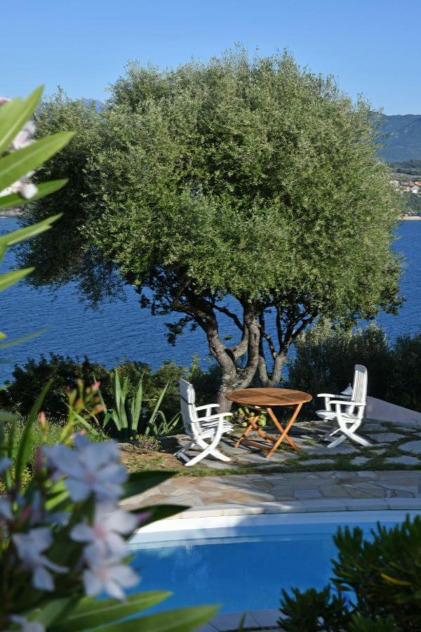 Villa Vetricella Corse Sud Олмето Екстериор снимка