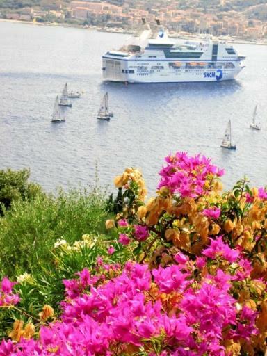 Villa Vetricella Corse Sud Олмето Екстериор снимка