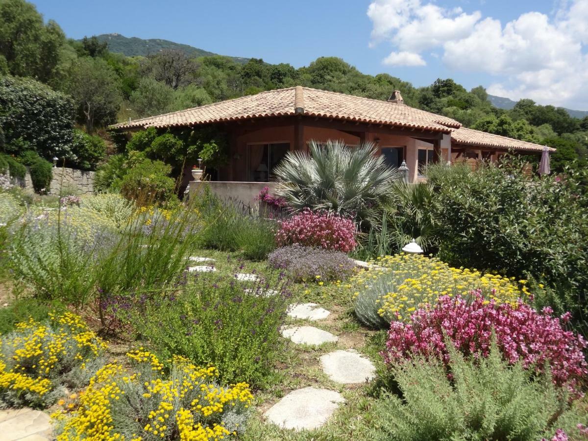 Villa Vetricella Corse Sud Олмето Екстериор снимка