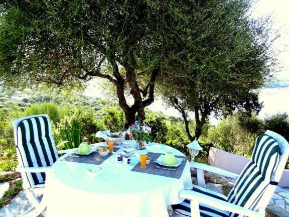 Villa Vetricella Corse Sud Олмето Екстериор снимка